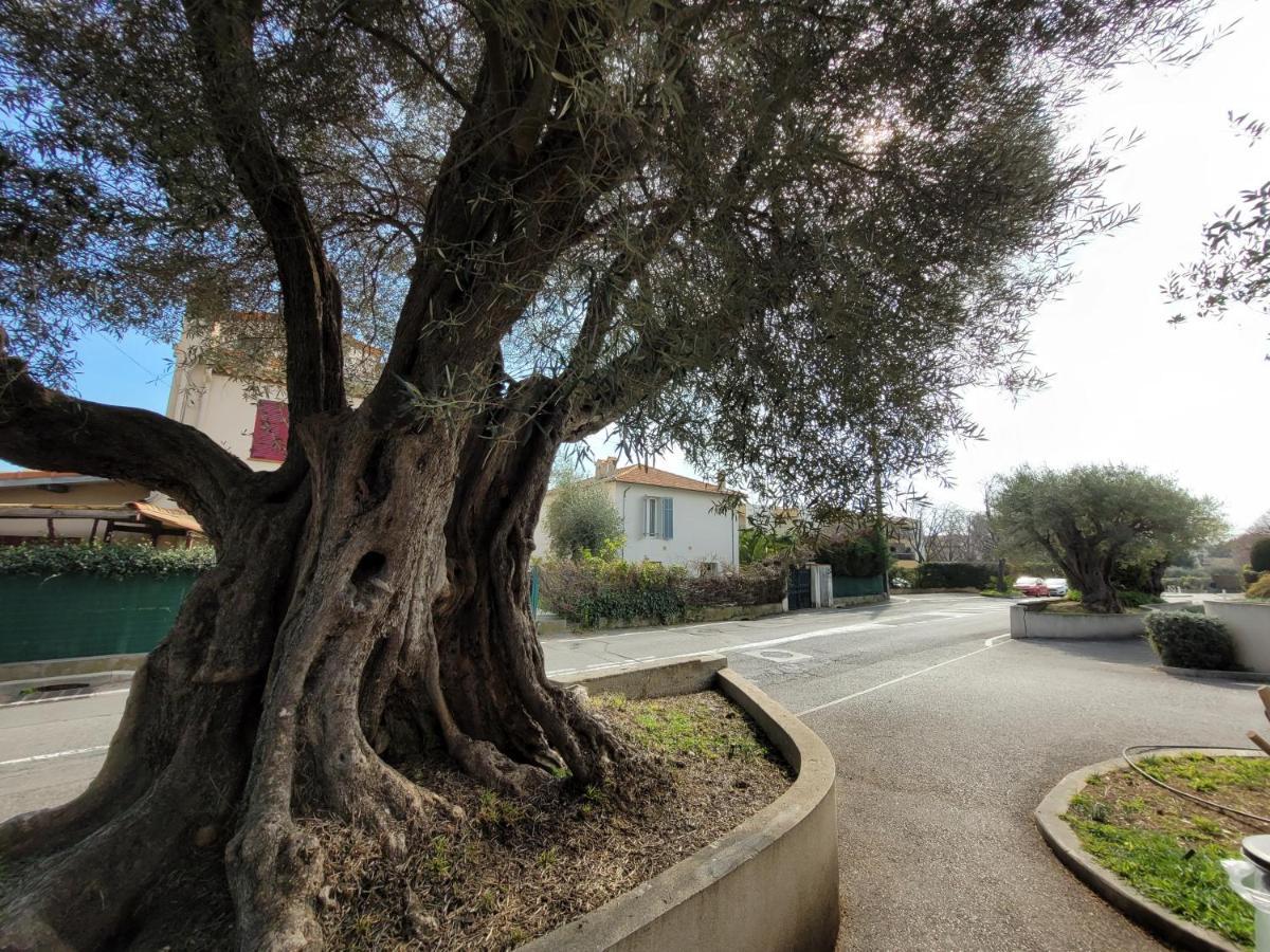 Villa La Desiree - Haut De Villa, 68M2, 8 Personnes Max, Climatise, 4 Etoiles, 120M2 De Jardin Et Parking, Wifi, Vu Mer Antibes Eksteriør bilde